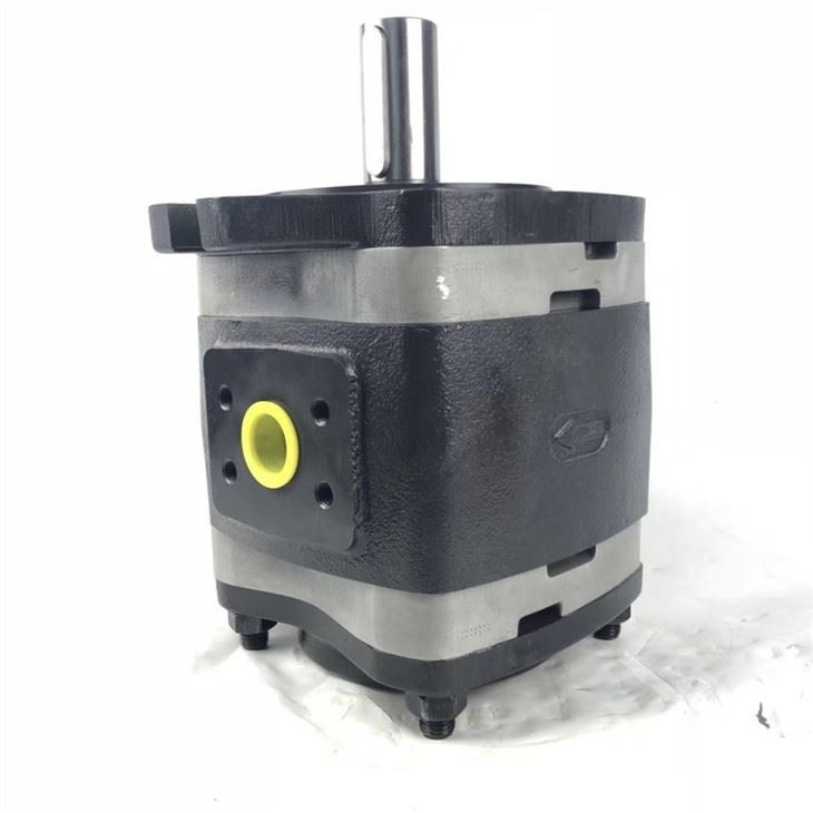 Germany IPV IPVS Series Hydraulic Internal Gear Pump Oil Pump IPVS 5-64 101