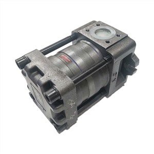 NBZ NBZ2 NBZ3 NBZ4 NBZ5 Series Hydraulic Siab Tshaj Tawm Hluav Taws Xob Sab Hauv Meshing Gear Roj Pump NBZ4-G63F